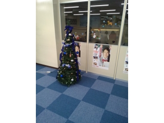 クリスマスツリー完成