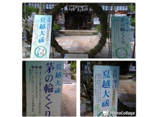 夏だ！休みだ！・・・さぁ~どうする？