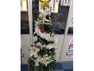 クリスマスツリー☆彡