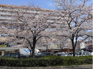新学期、スタート☆彡
