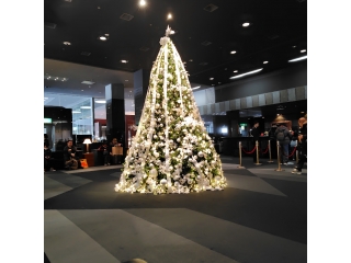 もうすぐお正月☆彡