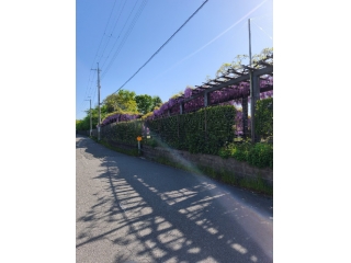 そろそろ夏準備…？