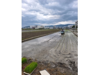 田植えの季節☆彡